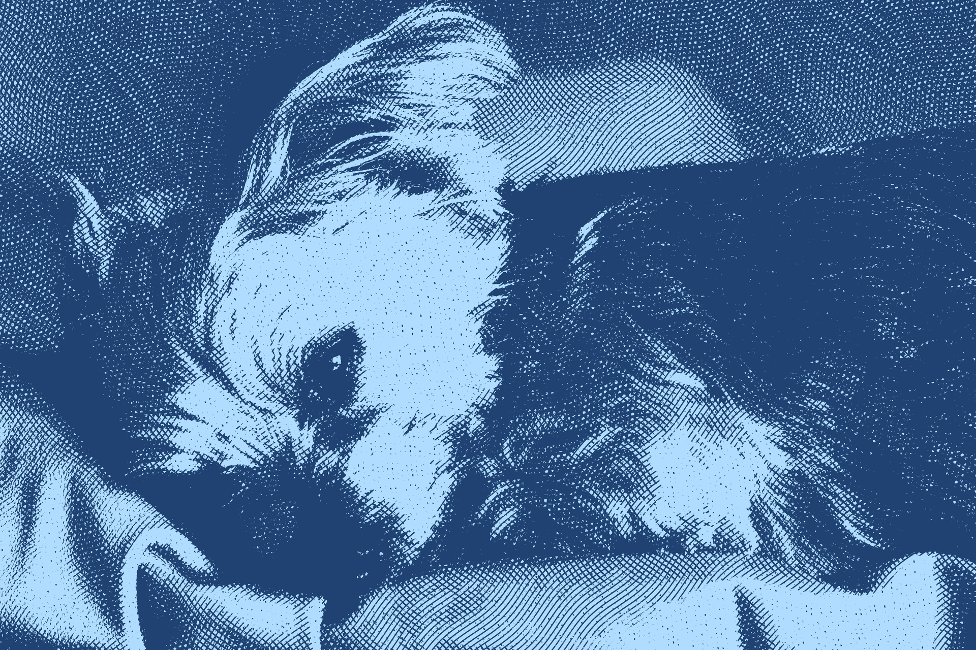 Navigating My Dog’s Journey Into Old Age